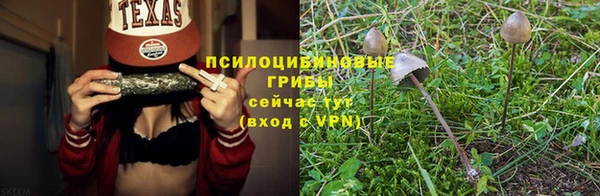 PSILOCYBIN Лиски