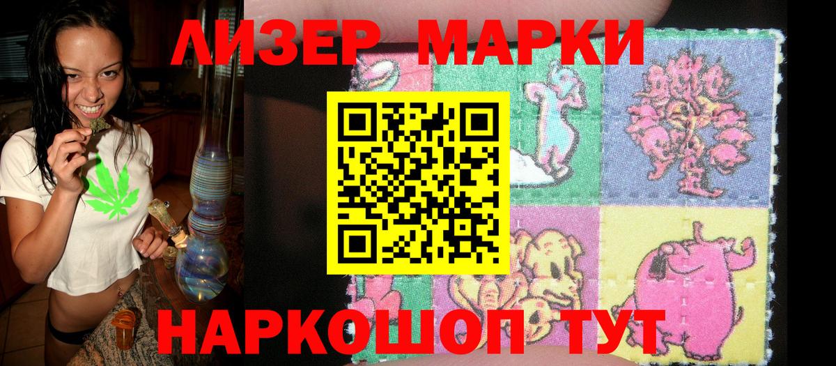 Альфа ПВП Киров