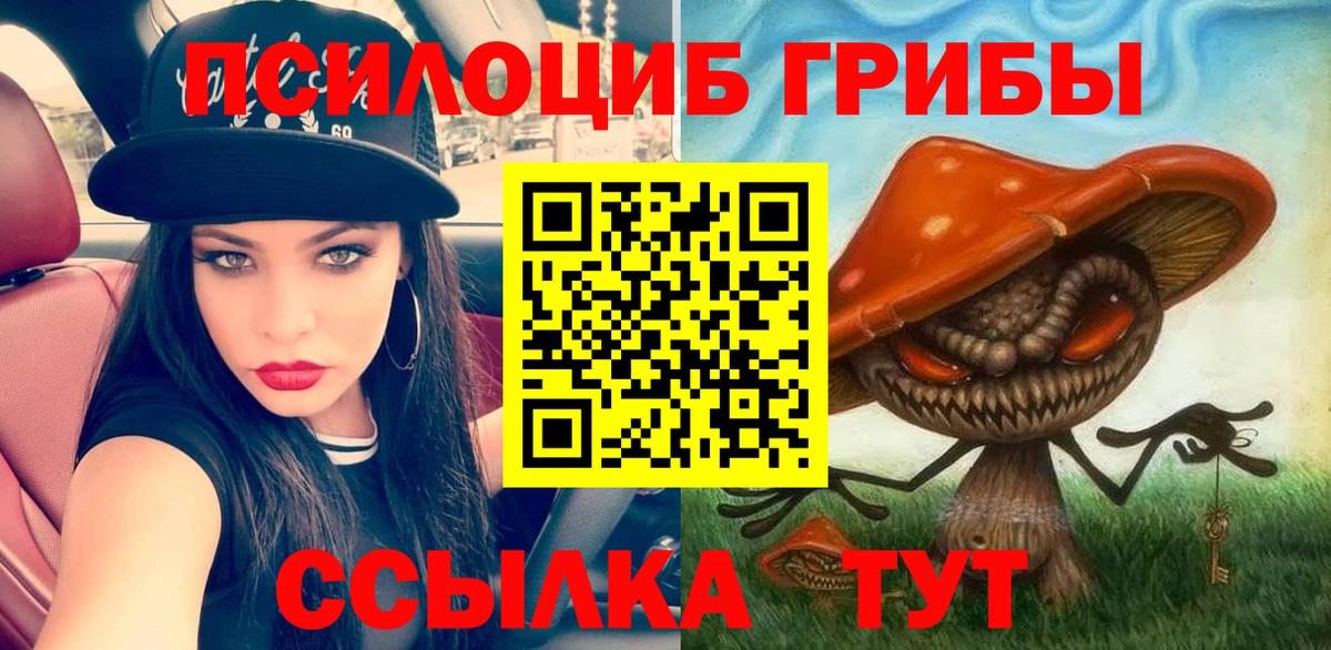 Псилоцибиновые грибы мухоморы Киров