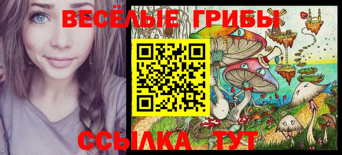 Галлюциногенные грибы мицелий Киров